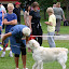 IMG_8211-1.jpg