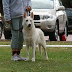 IMG_8735.JPG