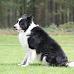 IMG_8806.JPG