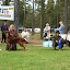 IMG_4575.JPG