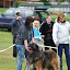 DSC_0316.JPG
