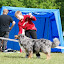 DSC_0588.JPG