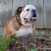 untitled-110.jpg