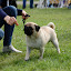 DSC_0949.JPG