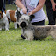 DSC_0995.JPG