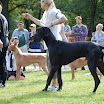 DSC_0056.JPG