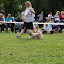 DSC_0941.JPG