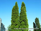 Photo courtesy of Dreamstime.com