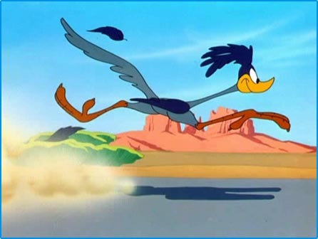 [road-runner-1[9].jpg]