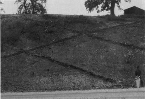 clip_image011 clip_image011