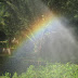 Fotografías de Arco Iris desde distintos lugares del mundo