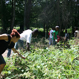 Vine-cutters hard at work!