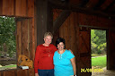 free and video and sharon mitchell