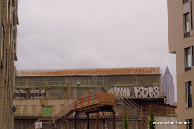 DSC03197.JPG