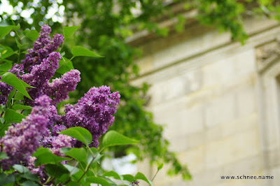 DSC02518-1.JPG