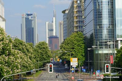 DSC02550-1.JPG