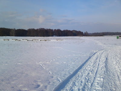31012010025.JPG