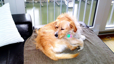 19022010178.JPG