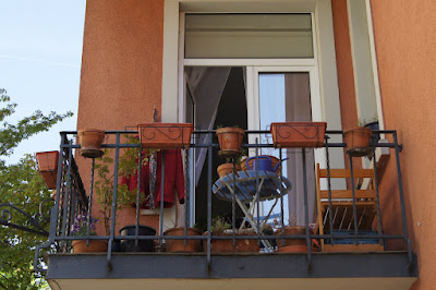 DSC00405-1.JPG