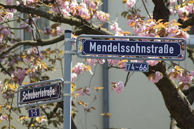 DSC00418-1.JPG