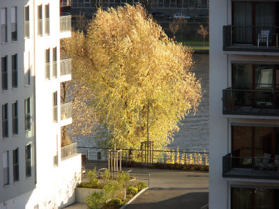2009.11.20