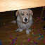 2010.01.01 2010.01.01