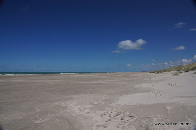 DSC04275.JPG