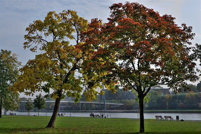DSC03997_2_3_tonemapped.jpg