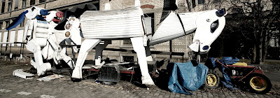 DSC08392.JPG