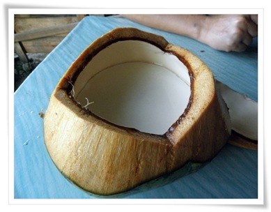 kelapa puding
