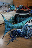 IMG_2780.jpg