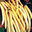 Yellow Garden Bean Seeds