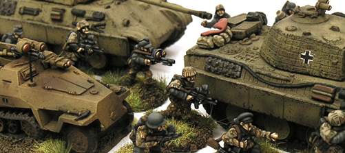 Nachtjager, sperber, uhu, falke