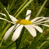 P1000284.JPG