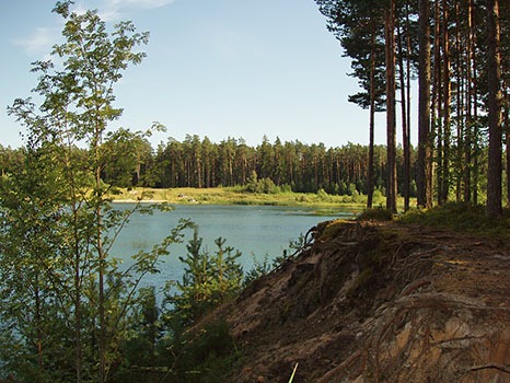 Seljametsa järv [29.07.2009 17:17 (GMT +3)]