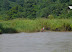 navigating the river on a bamboo raft