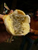 The locals call this Gorrilla snot.  It was good before they told me that!