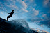 All Rights Reserved. Copyright &copy; 2010 Trevor Thompson