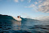 All Rights Reserved. Copyright &copy; 2010 Trevor Thompson