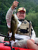 Smallmouth Bass, Juniata River 19 inches, 3.5 lbs. Smallmouth Bass, Juniata River 19 inches, 3.5 lbs.