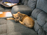 DSCN5229.JPG