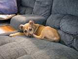 DSCN5230.JPG