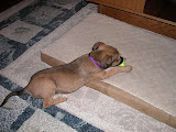 DSCN5233.JPG
