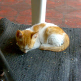 06052009462.jpg