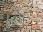 Grass in the Window small.jpg