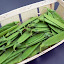 Peas, Pois mange tout Seeds