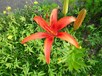 DSC01101.JPG