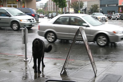 Rain is Seattle