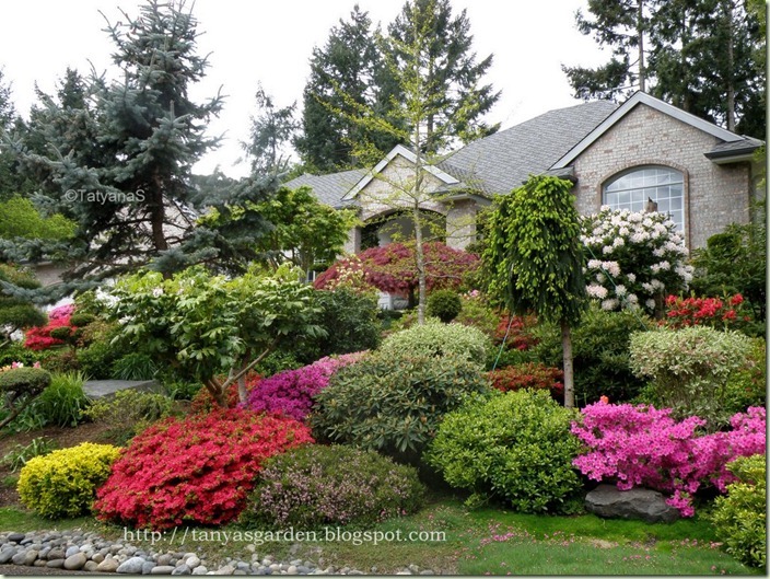 Garden Ideas Zone 6 interesting garden ideas zone 6 i in Garden Ideas Zone 6 interesting garden ideas zone 6 i in
