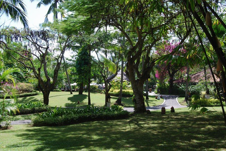 Где лучше остановиться на Бали: районы и пляжи с описанием